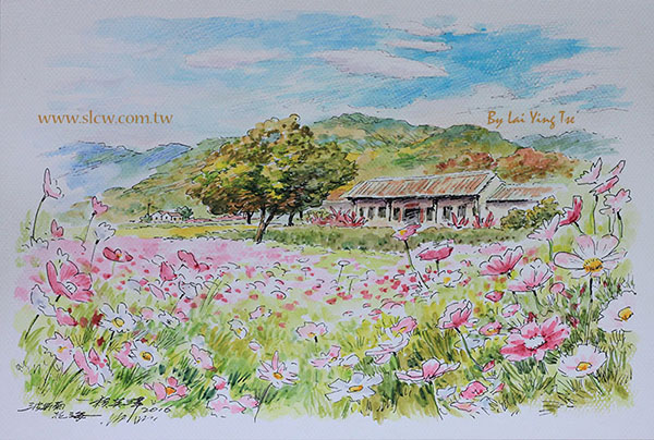 波斯菊花海_賴英澤 繪_Calliopsis painted by Lai Ying-Tse