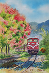 A Train With Koelreuteria elegans(Taiwanese rain tree) in Zhuqi _竹崎欒樹火車