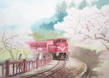 阿里山櫻花季